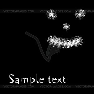 Fireworks on black background - vector image