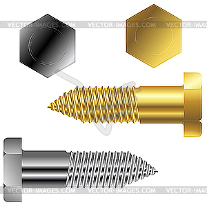 Gold and silver screws - vector image