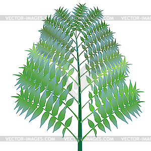 Green bush against white - vector image