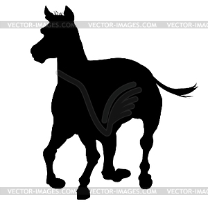 Horse silhouette - vector clip art