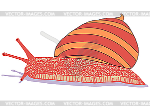 Snail cartoon isolated on white - royalty-free vector image