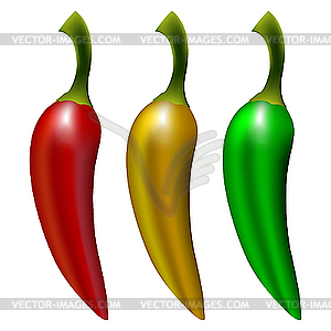 Peppers - vector image