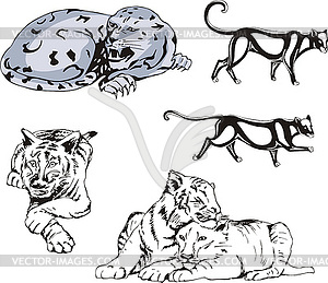 Wild Predator Cats Set - vector clipart