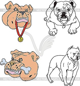 Bulldog cartoons - vector image