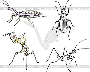 Insects / bugs - vector clip art