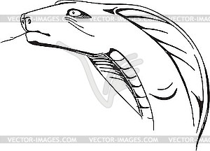 Cobra head - vector image