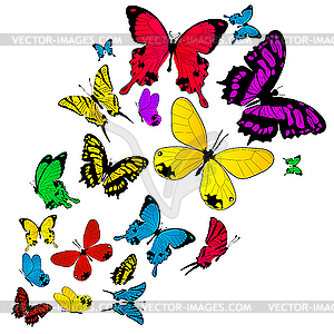 Colored butterflies background - vector image
