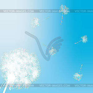 Dandelion gift card - vector image