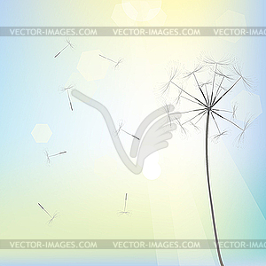 Bright dandelion design - vector clipart