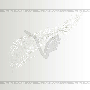 White feather - vector image