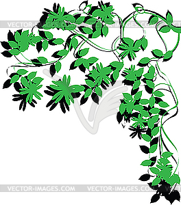 Зеленая листва - векторное изображение клипарта