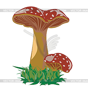 Mushroom family - vector clipart / vector image