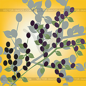 Olives - vector clipart