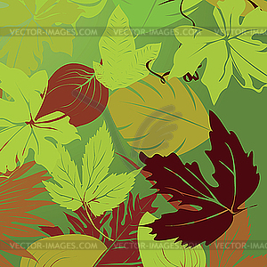 Leaves - vector image