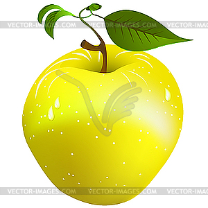 Fresh apple - vector clipart