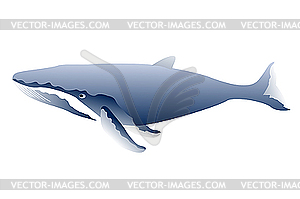 Whale - vector clipart