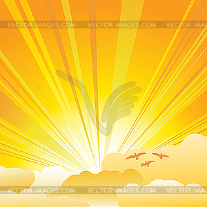 Sunburst - vector image