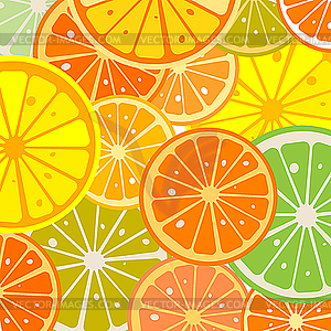 Lemon slices - vector image