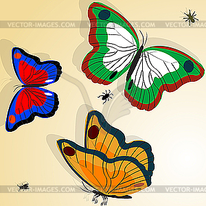 Butterflies - vector image