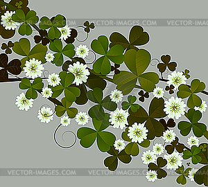 Clover - vector image