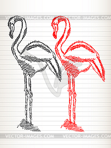 Flamingo sketch - vector clip art