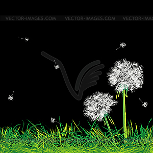 Одуванчики и трава в ночи - векторный дизайн