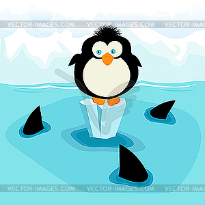 Penguin - vector clipart