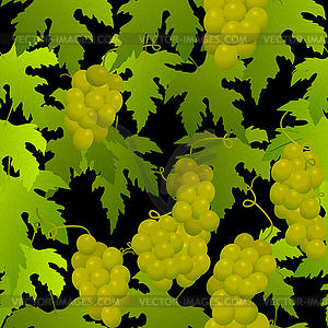 Grape seamless pattern - vector image