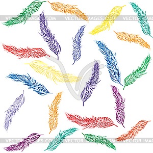 Colored feathers  - vector image
