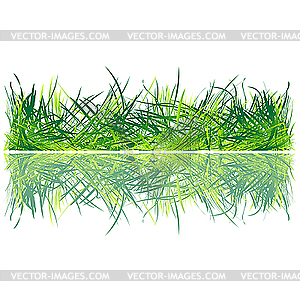 Fresh grass - vector clipart