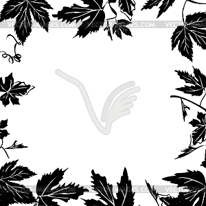 Grape leaves - vector clipart