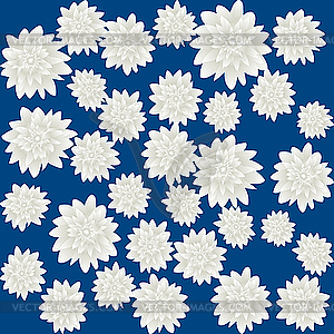 White roses - vector image