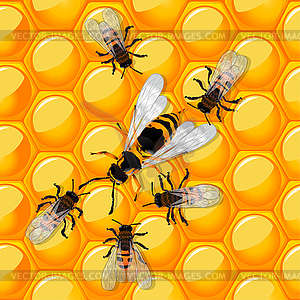 Bees and wasp - vector image