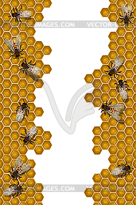 Bees working frame - vector clipart