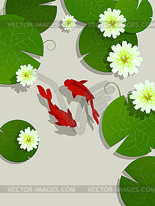 Koi fish card - vector image