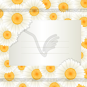 Oxeye daisy text card - vector clipart