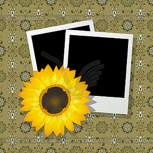 Photo frames with sunflower - vector clip art