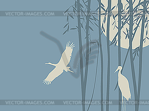 Romantic background with storks - vector image