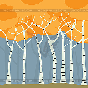 Birch forest - vector EPS clipart