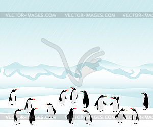 Penguins on ice - vector clip art