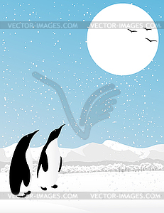 Winter scene with penguins - vector image