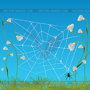 Web spider - vector clip art