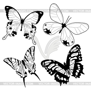 Butterflies - white & black vector clipart