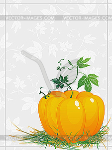 Yellow pumpkin - vector clipart