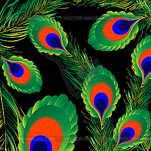 Peacock feathers background - vector image