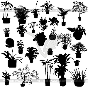 Potted plants - vector clipart