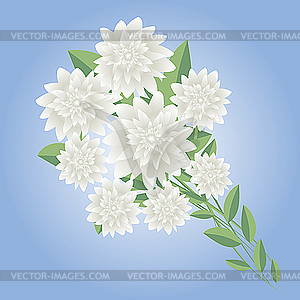 Floral  - vector image