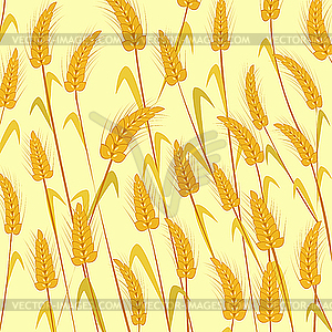 Ripe wheat - vector EPS clipart