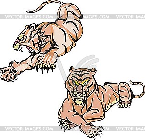 Тигры лежаn - векторный клипарт EPS