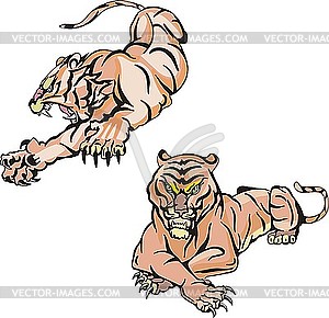 Tigers lying - vector clipart / vector image